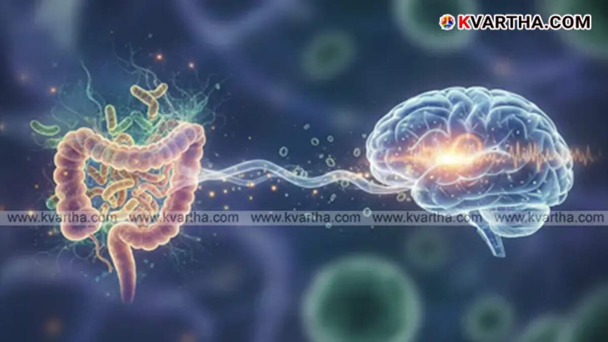 Diagram illustrating gut-brain axis and bacteria components entering the brain.&nbsp;