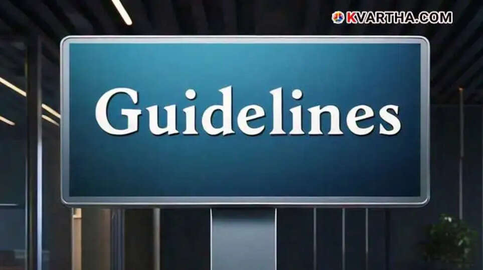 UAE government labor guidelines for private companies