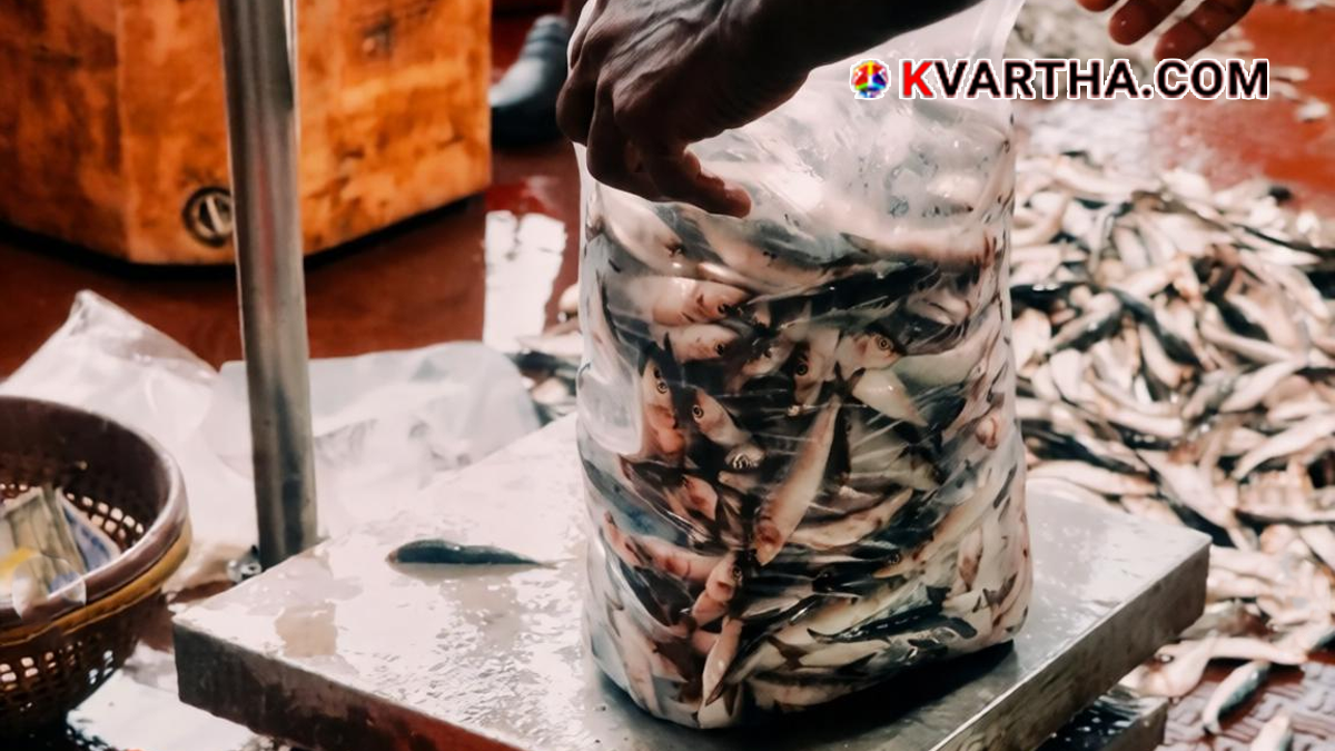 Fish market in Kerala showing various sea fishes on display.