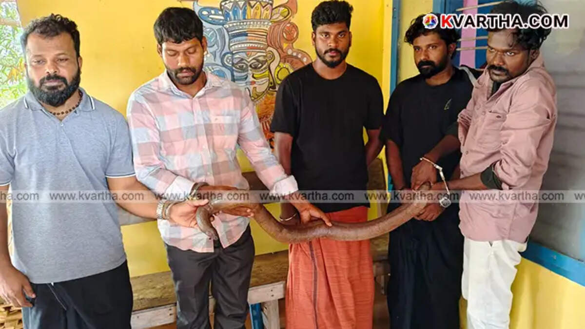 Superstition Trade Busted: Five Arrested with Two-Headed Snake in Payyannur