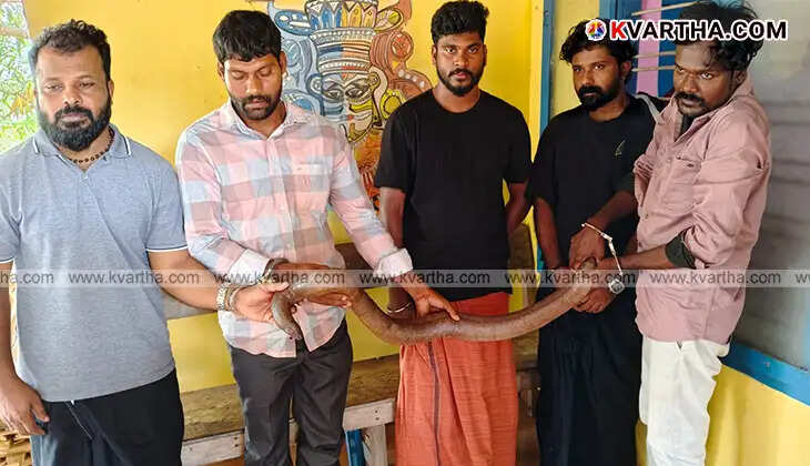 Superstition Trade Busted: Five Arrested with Two-Headed Snake in Payyannur