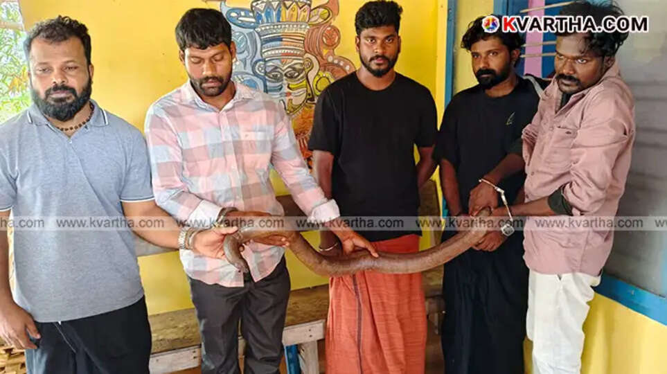 Superstition Trade Busted: Five Arrested with Two-Headed Snake in Payyannur