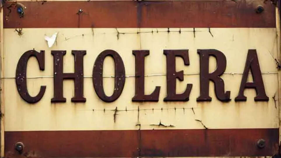 cholera, outbreak, Kerala, Noolpuzha, health emergency, containment zone, India