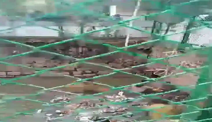 The rescue operation to find the missing worker in Amayizhanchan Thod is in crisis says Mayor Arya Rajendran, Thiruvananthapuram, News, Rescue operation, Mayor Arya Rajendran,Missing worker, Fire Force, Kerala News