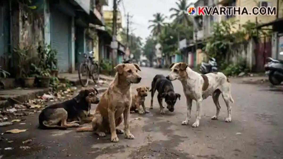  Image Representing 5-year-old girl bitten by stray dog while waiting for treatment at Kottayam Medical College Hospital