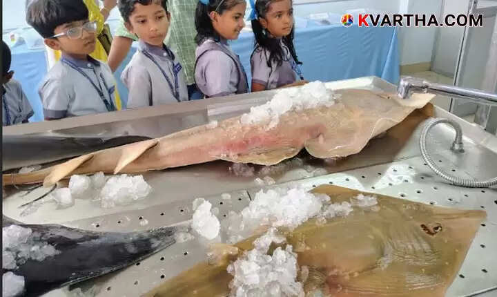 Huge Crowd at CMFRI Kochi Open House Exhibition Featuring 14 Meter Whale Skeleton and Rare Marine Life