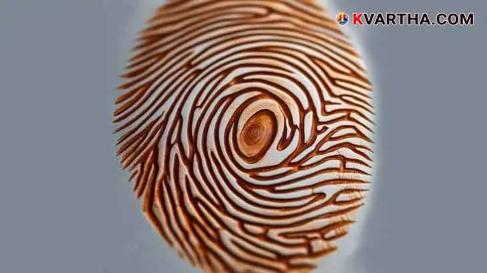  The Science Behind Fingerprints: A Unique Identifier