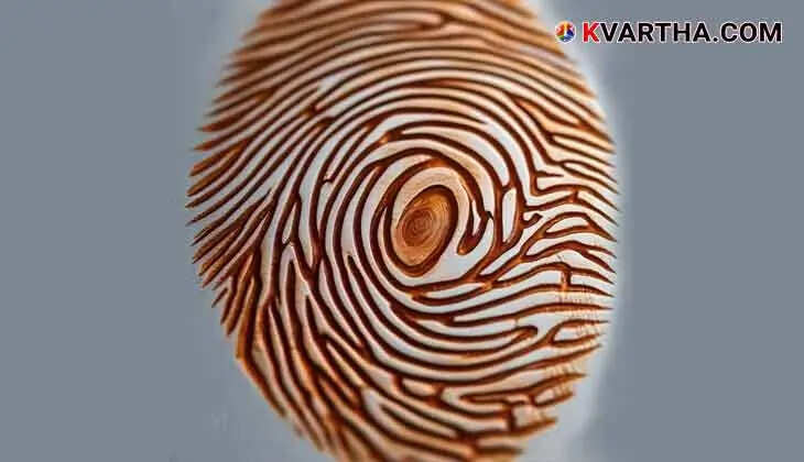 The Science Behind Fingerprints: A Unique Identifier