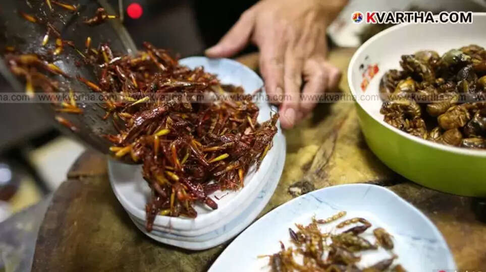 Insects nutrition health benefits, protein, vitamins, minerals