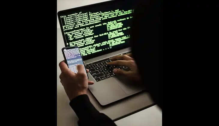 Online Fraud