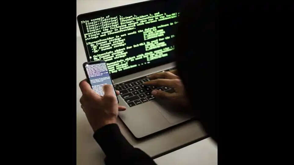 Online Fraud