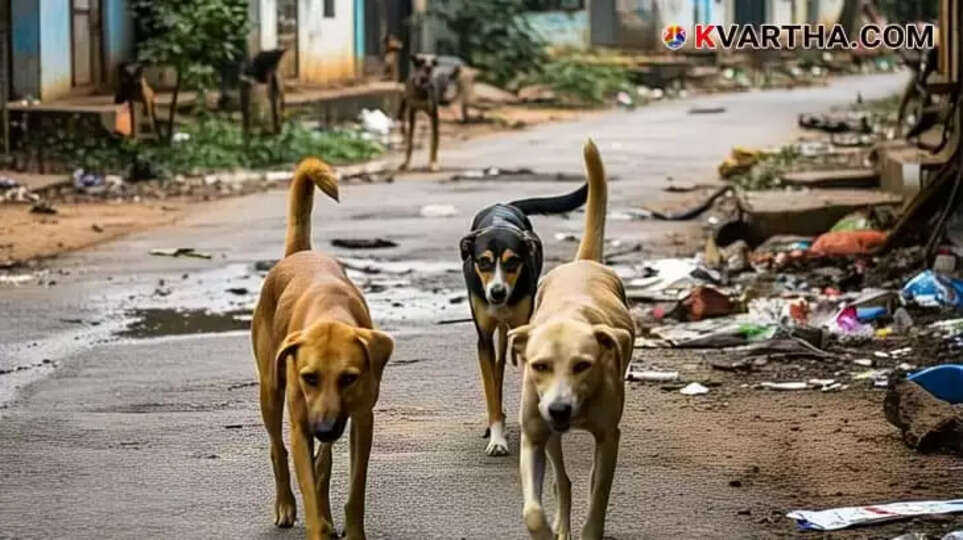 Image Representing Another Rabies Fatality