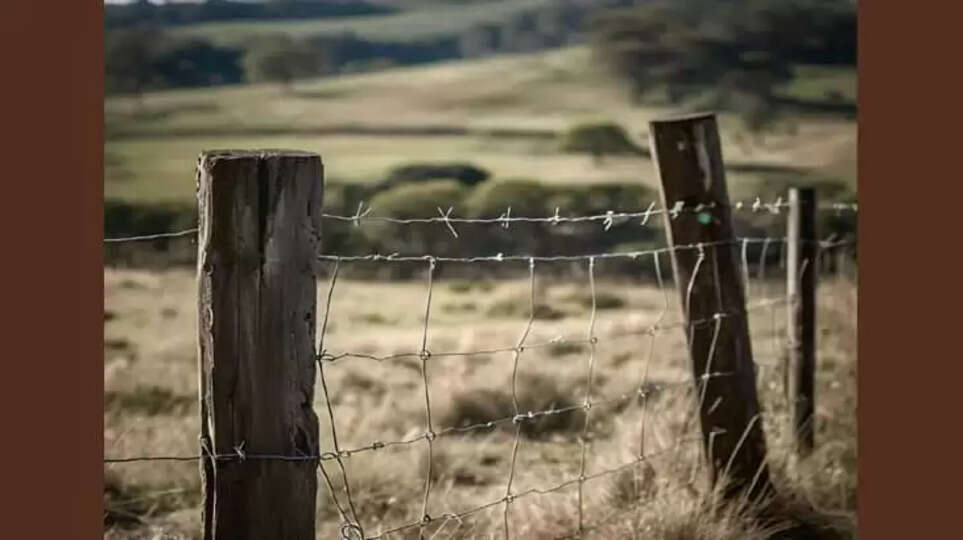 Elderly Man Electrocuted from Electric Fence
