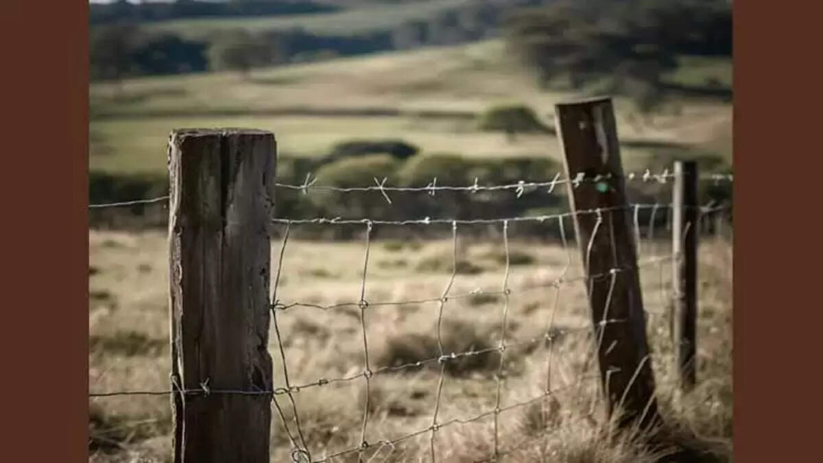 Elderly Man Electrocuted from Electric Fence