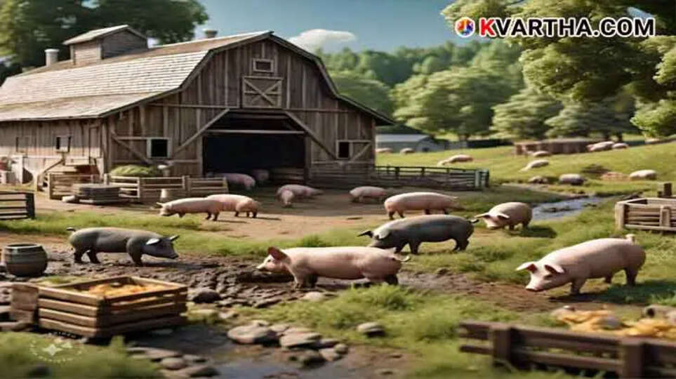 African Swine Fever Outbreak Confirmed in Kannur District