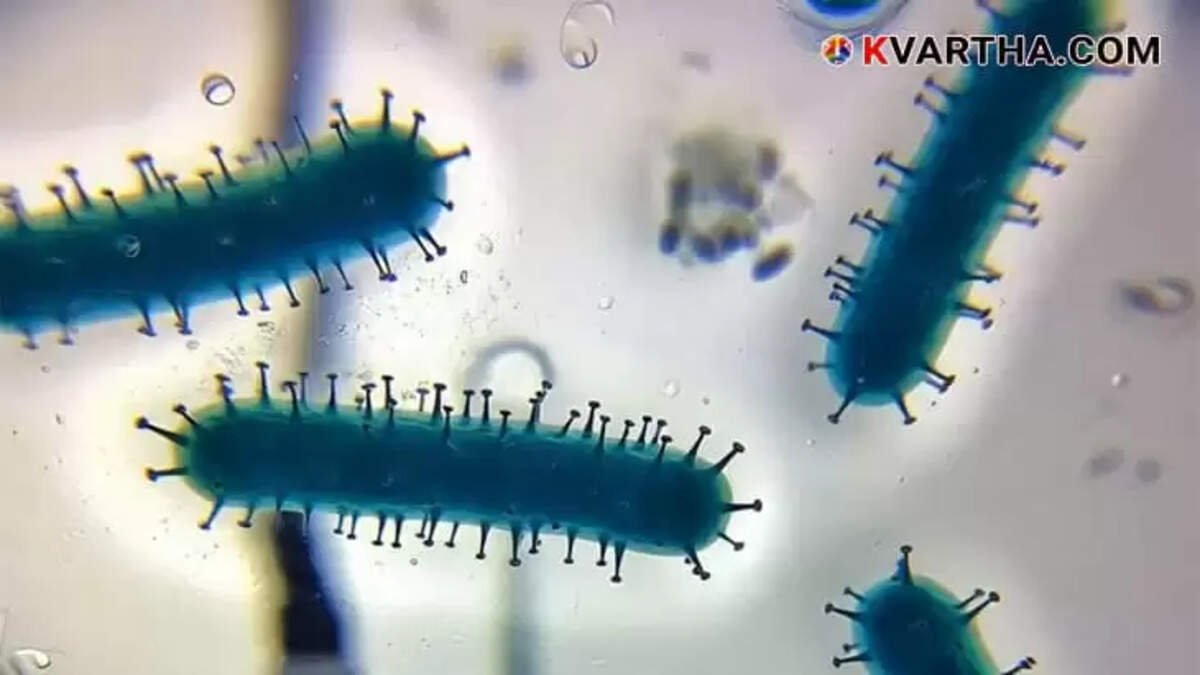  Image Representing&nbsp;Cholera Death in Kerala