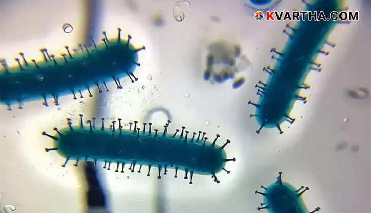 Image Representing Cholera Death in Kerala