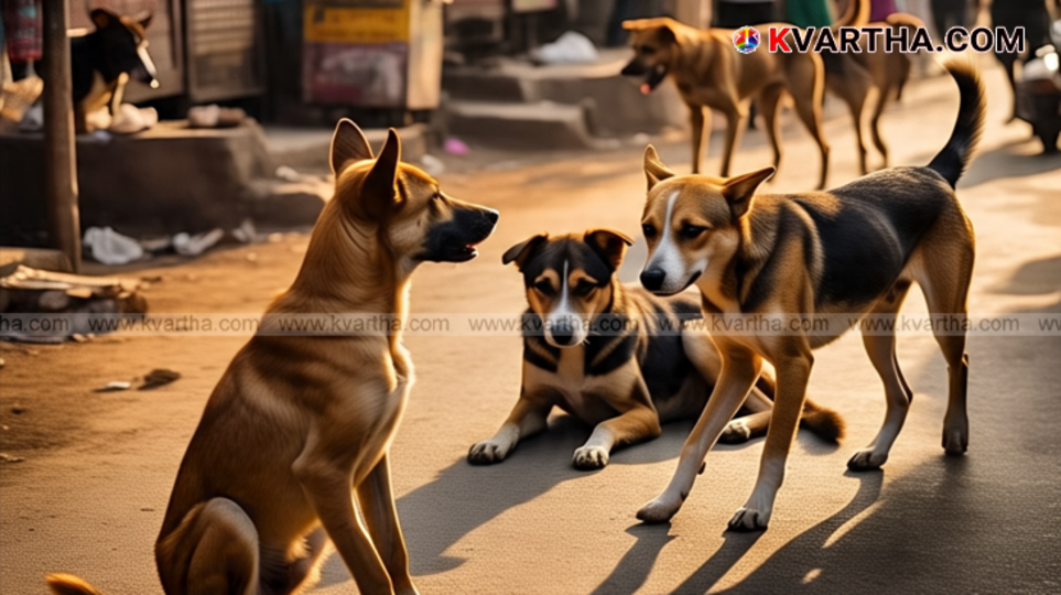 Street dog in residential area, symbolizing potential threat.