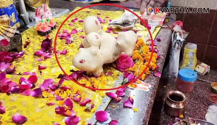 Devotees flock to Sambhal temple to worship potato with '4 Vishnu Avatars'