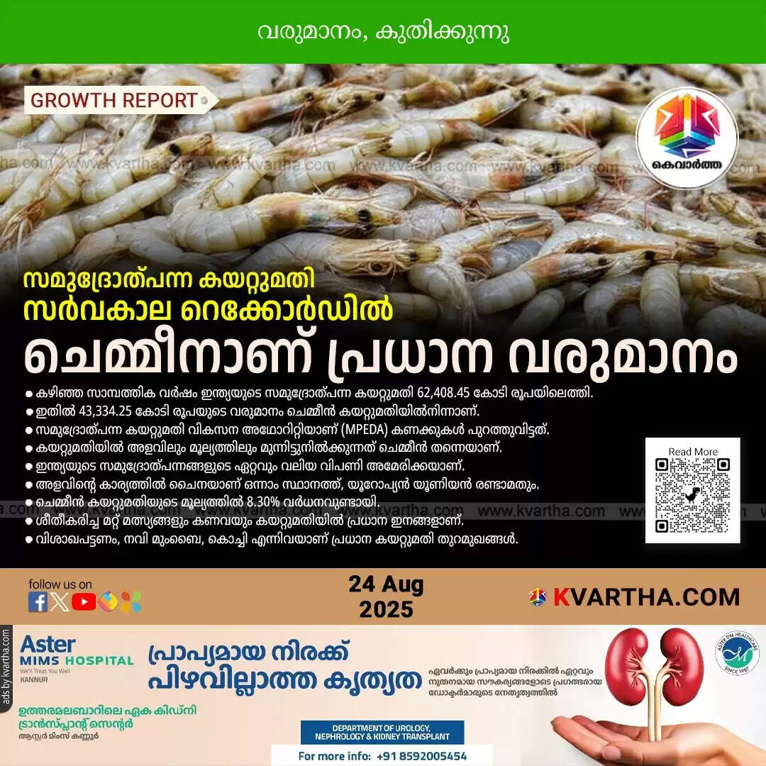 A basket of fresh shrimp, a key product in India's seafood exports.