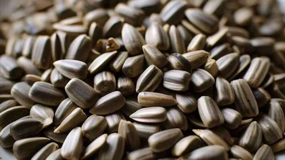 The Incredible Health Benefits of Sunflower Seeds