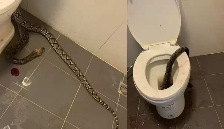  A man being treated for a snake bite