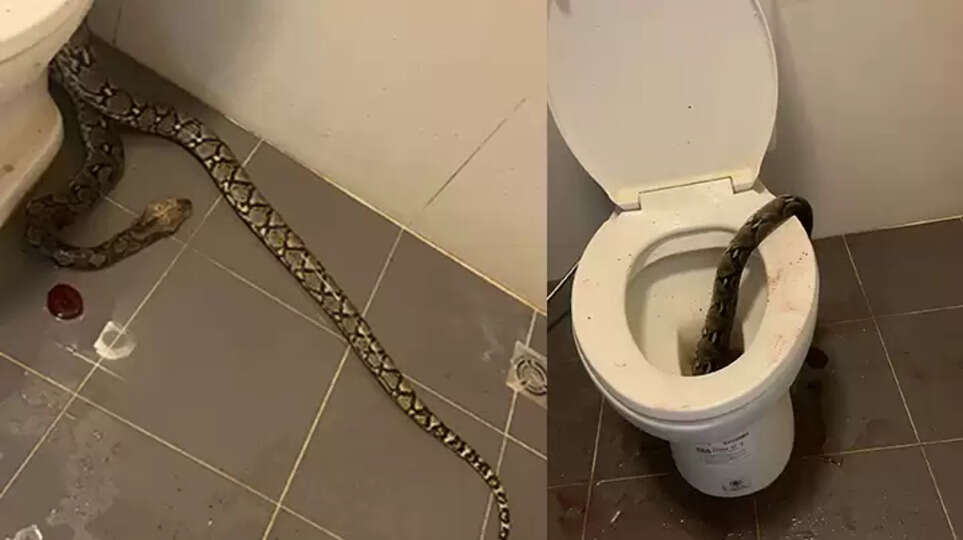 A man being treated for a snake bite