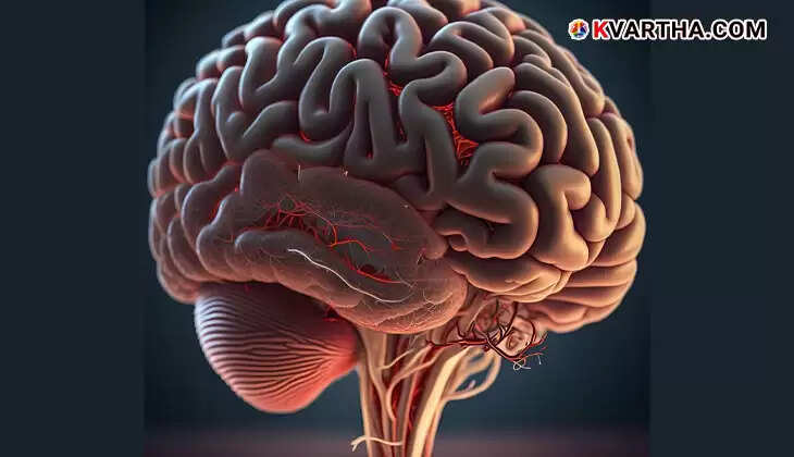 Even if the heart stops, the brain can continue to function; what happens in our brain at the time of death?