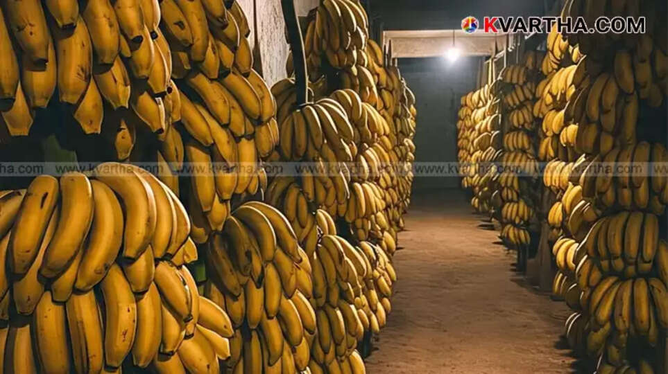 Bananas with stems wrapped in plastic wrap.
