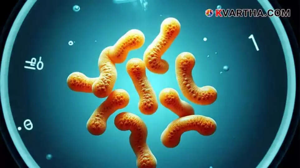 Image Representing Health Department and ICMR Experts Begin Field Study in Kozhikode to Determine Causes of Amoebic Meningoencephalitis