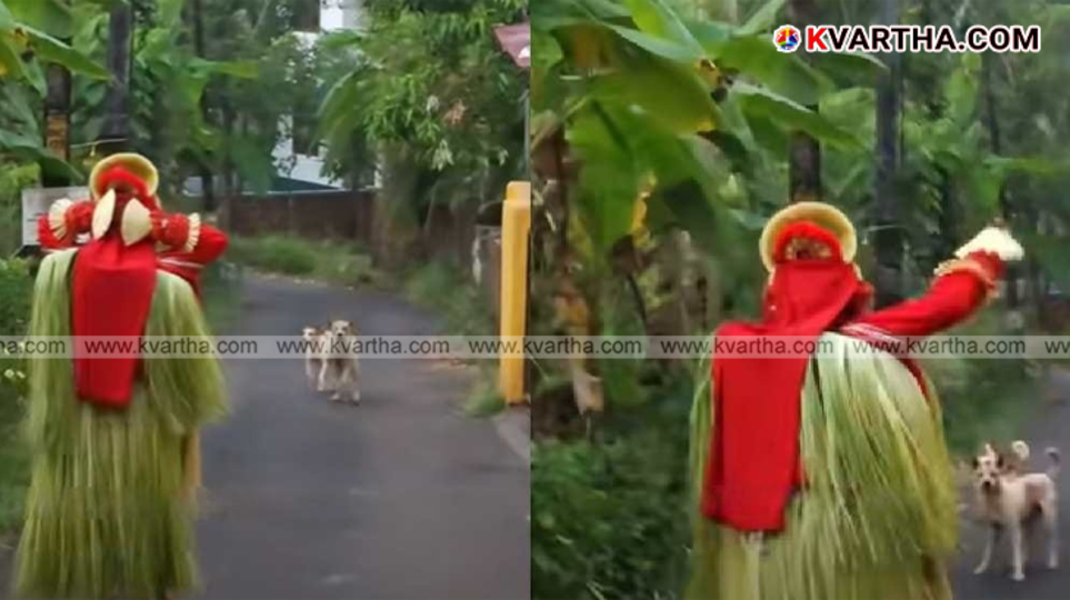 A frame from the viral video showing the Theyyam ritualist confronting stray dogs.