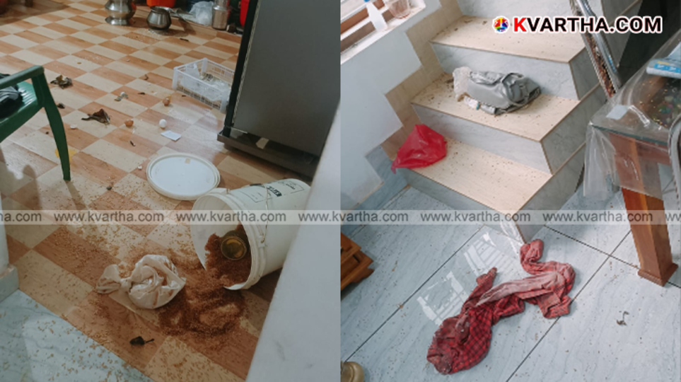 A group of monkeys sitting on a house roof in Kanul village, Morazha.