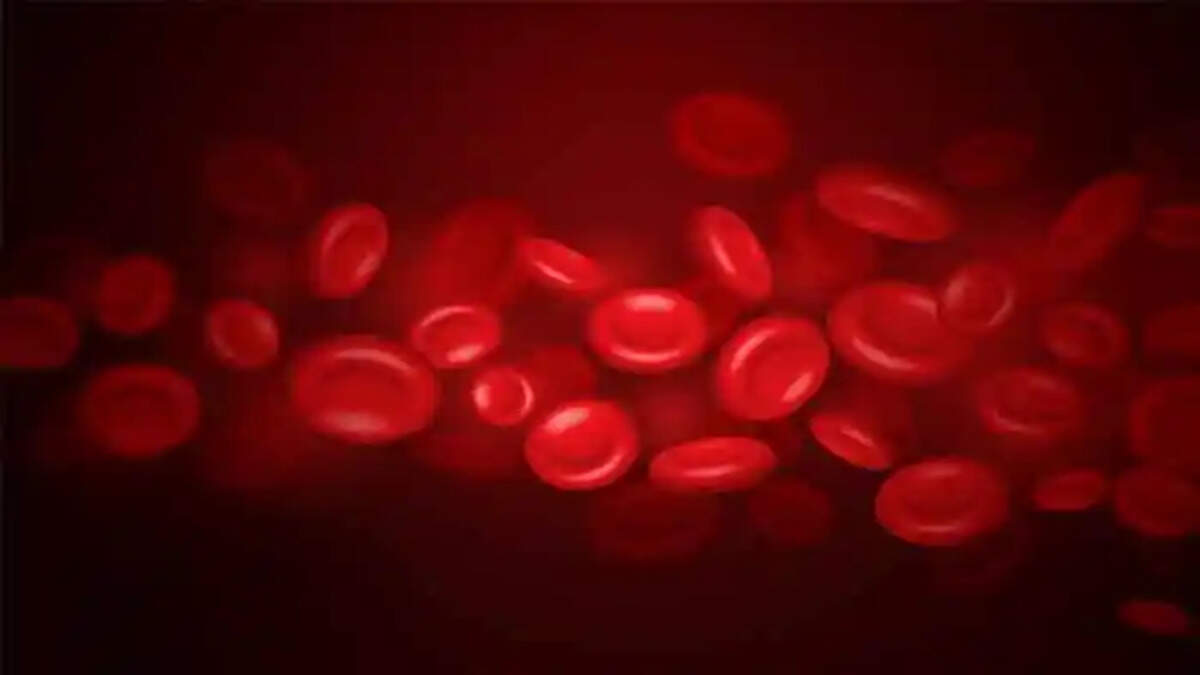 best 5 iron-rich foods to increase your hemoglobin count&nbsp;