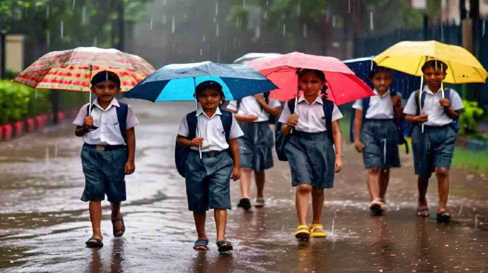 Heavy Rain: educational institutes in 6 districts have been declared holiday on Friday (July 19)