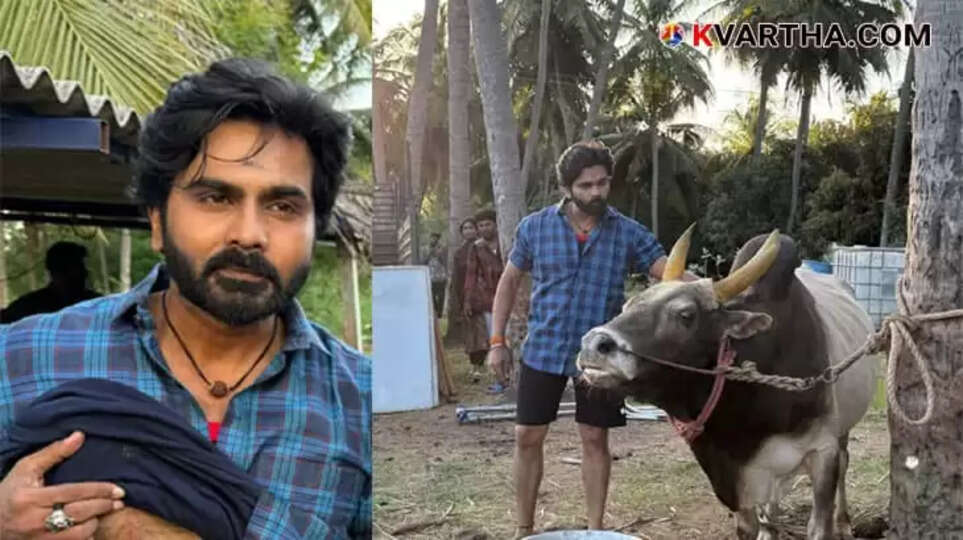 Tamil Actor Ashok Kumar Injured by a Bull During Film Shoot, Narrowly Escapes Serious Injury