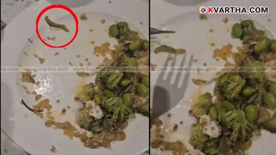 Worm found in salad at Gurugram luxury restaurant