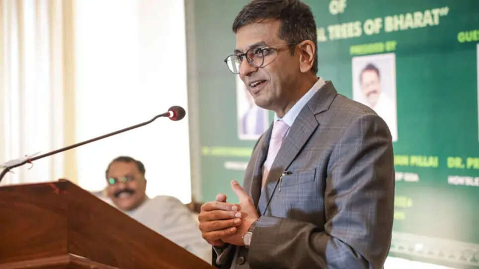 Supreme Court Chief Justice's Remarks on Ayodhya Verdict