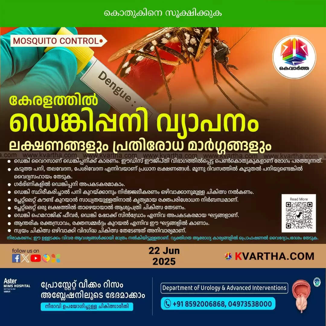 Close-up image of an Aedes aegypti mosquito, vector of dengue fever.