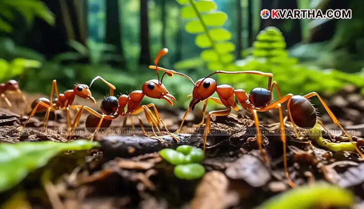  Small Creature, Big Wonder: How Ants Survive Falls from Great Heights