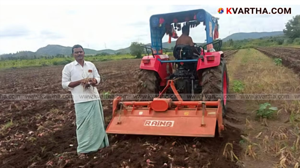  Farmer destroying onion crop with a tractor due to price crash