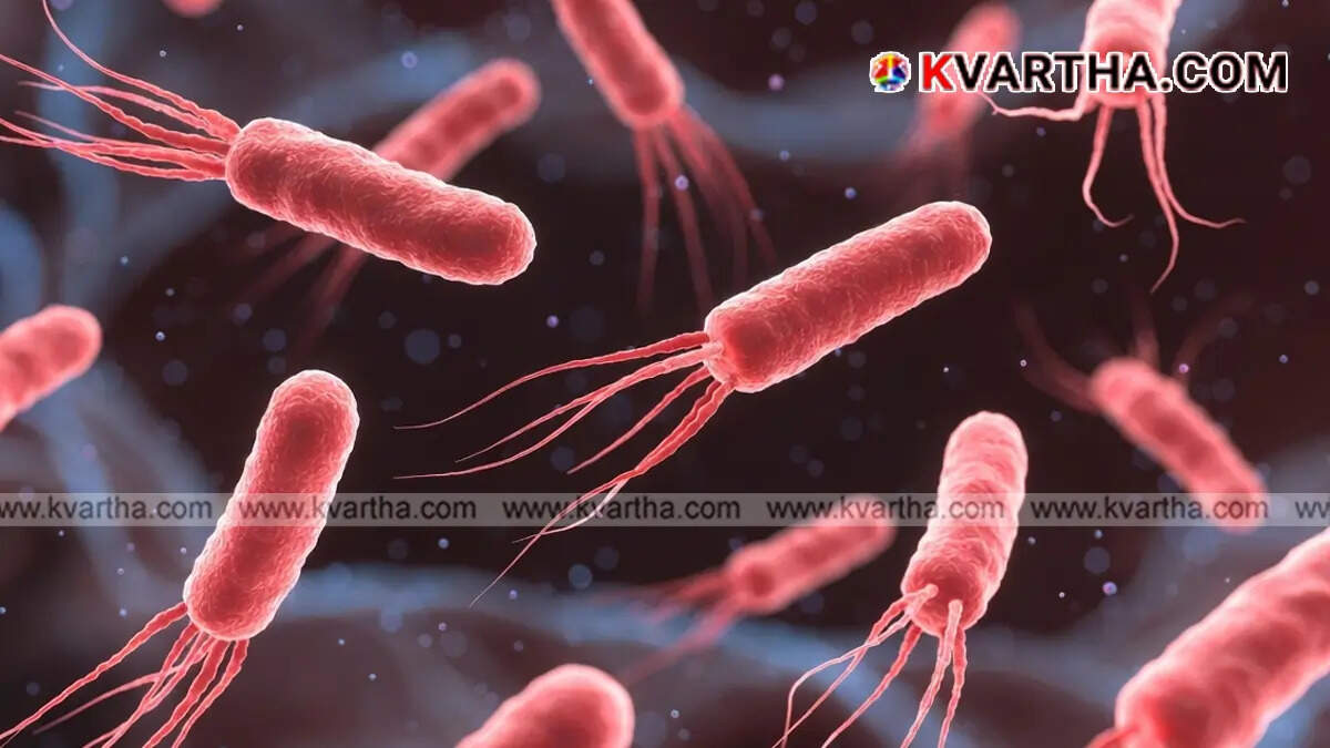 Shigella Outbreak Spreads in Kerala: Two More Deaths Reported in Malappuram and Thrissur; New Cases in Kannur and Kollam