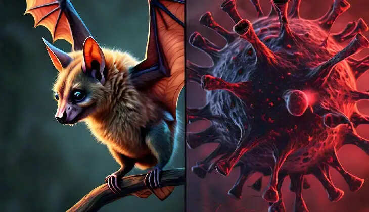 malappuram declared nipah-free after 42 days