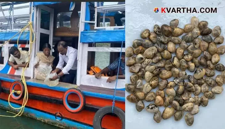CMFRI Steps in to Save Ashtamudi Clam Population