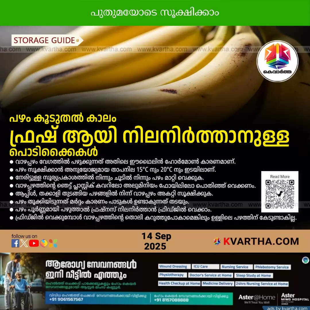 Bananas with brown spots, indicating they are ripening.