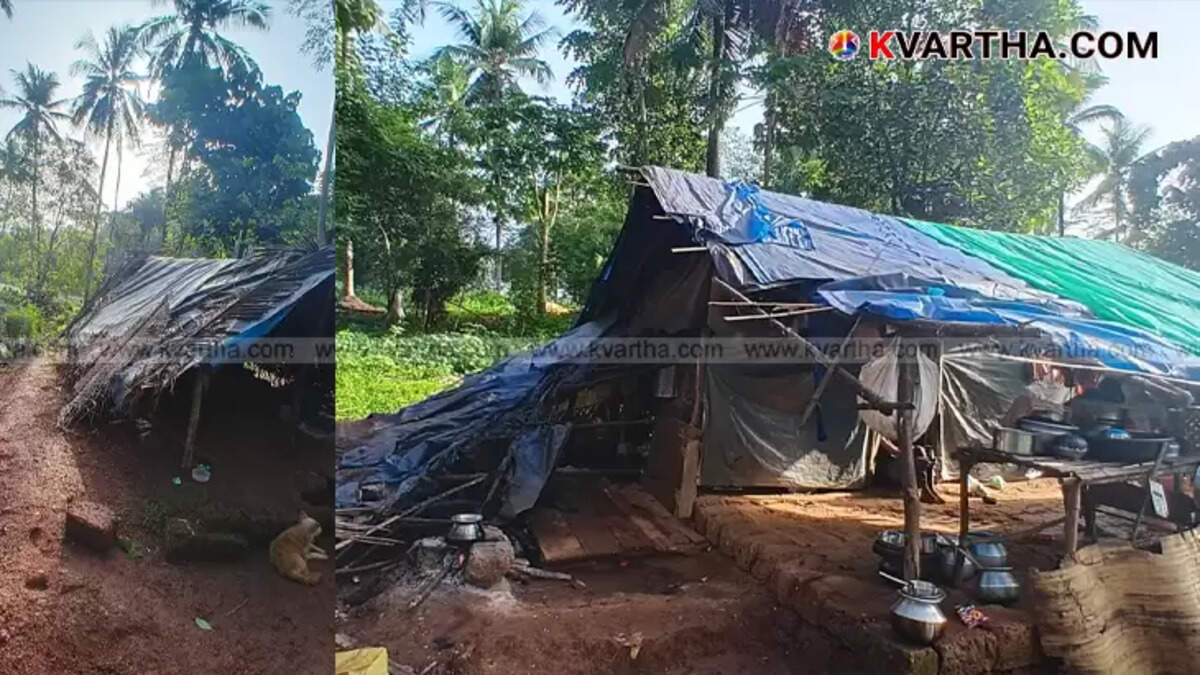  A damaged hut in Aralam Farm rehabilitation zone after an elephant attack.