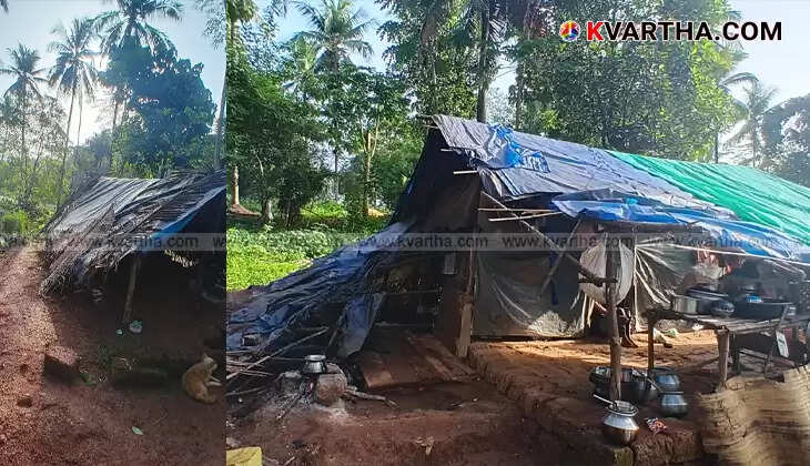 A damaged hut in Aralam Farm rehabilitation zone after an elephant attack.