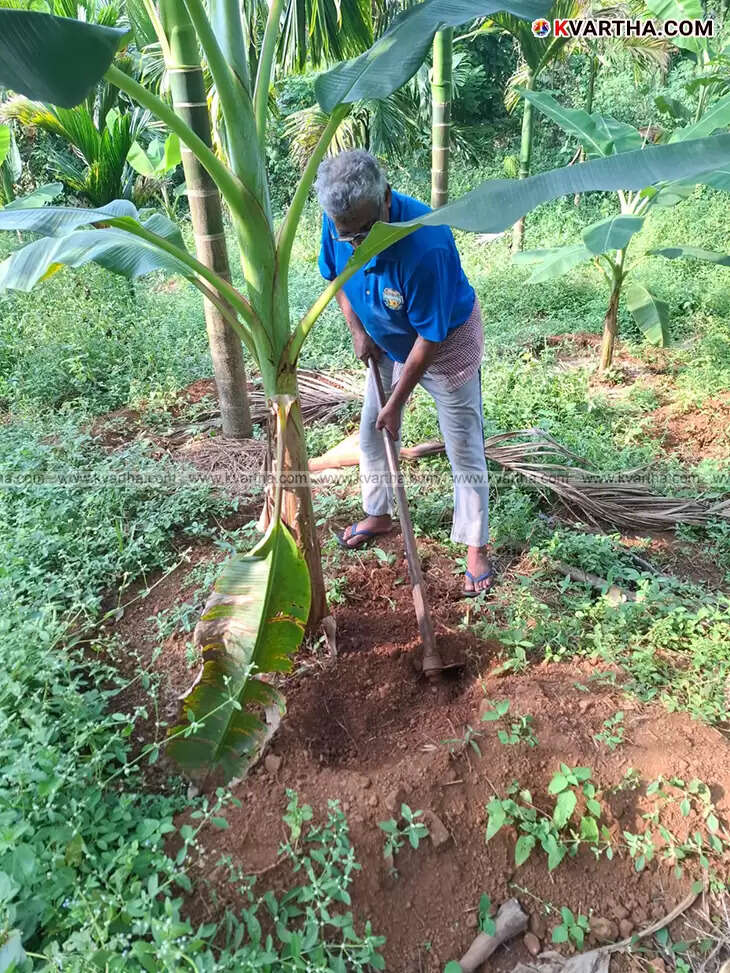  Hamsa from Cherupuzha, the borewell locating expert.