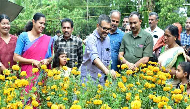 flower_cultivation_mb_rajesh-3