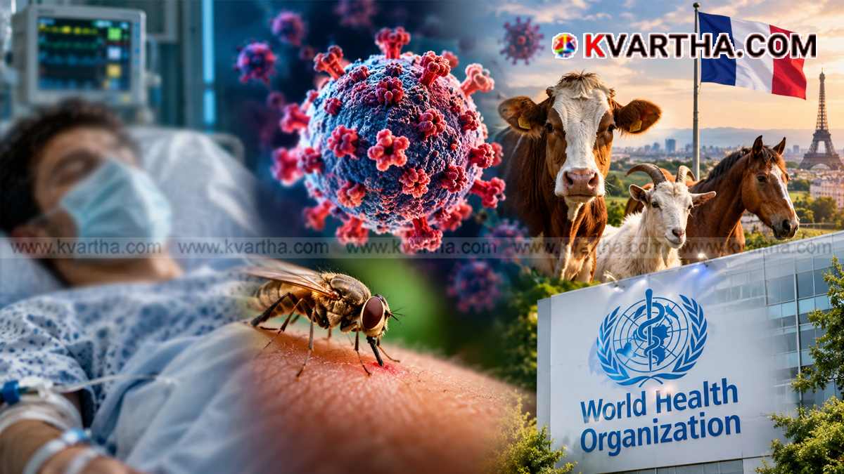  Representational image of virus outbreak and WHO health warning