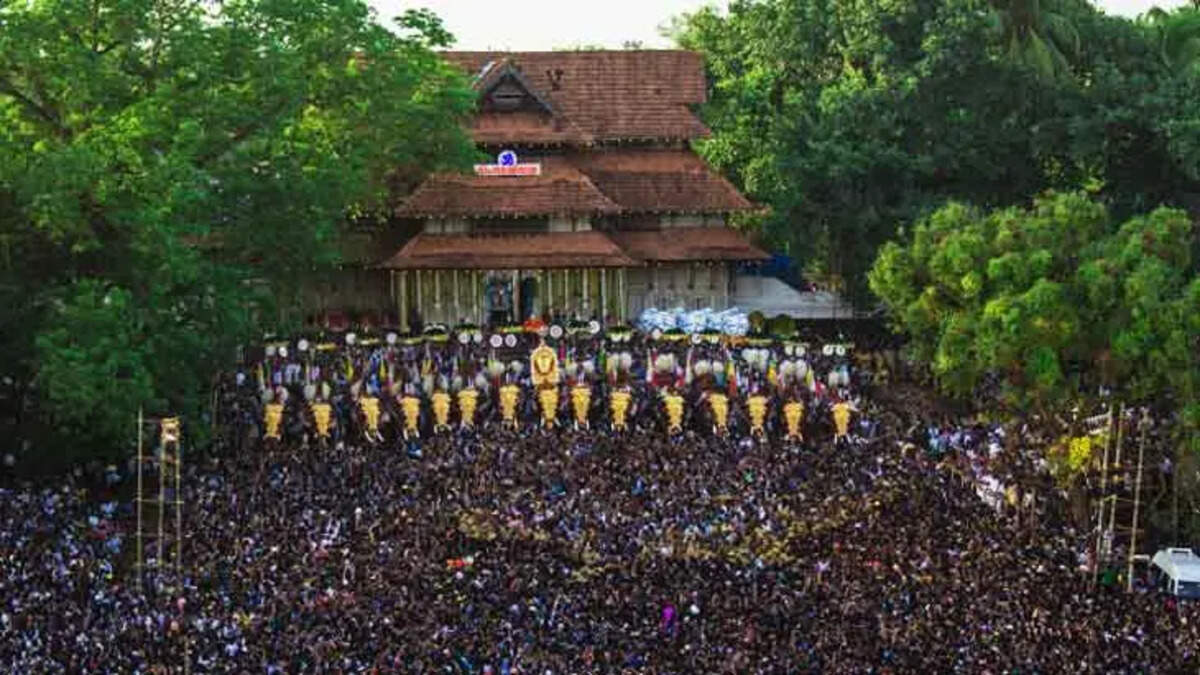 Strict Restrictions Proposed for Using Elephants in Kerala Ceremonies